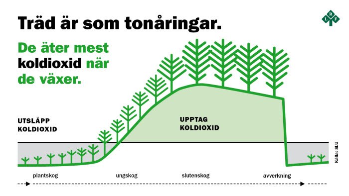Den svenska skogen avlastar varje år atmosfären med 45 miljoner ton koldioxid.