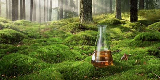 Preem knäcker koden för att storskaligt tillverka fossilfria drivmedel, av hållbara restprodukter från landets skogsindustri. Foto: Preem
