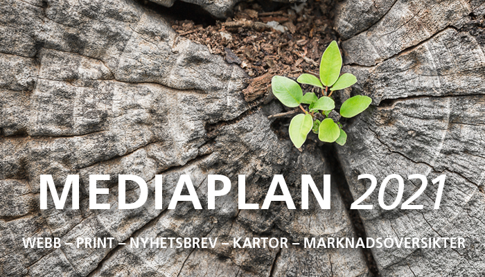Mediaplan 2021