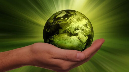 Webinar: Hållbar Utveckling – Biologisk Mångfald, Klimatförändring och Livsmedelstrygghet