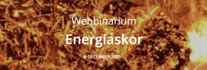 Webbinarium om energiaskor