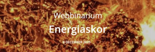 Webbinarium om energiaskor
